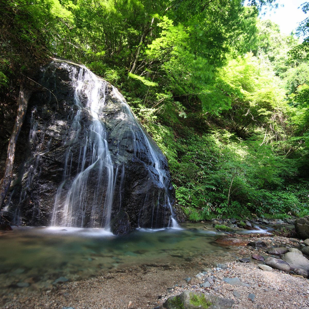 🏞️ 말꼬리 폭포(마오노타키) 이미지 10